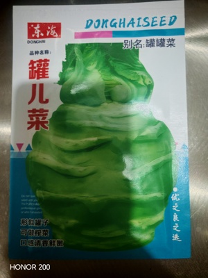 罐儿菜种子芥菜秋冬头棒菜种子疙瘩蔬菜种子重庆大头菜种籽
