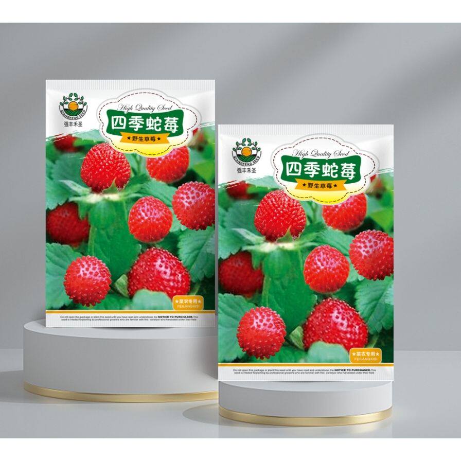 蛇莓种子纯浆果种子优良的地被植物蔬果种子驱蚊植物种子四季播种