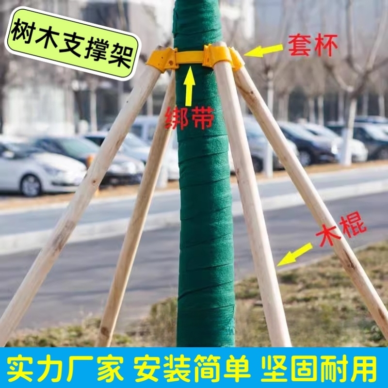 杨木支撑固定器支撑架杆杉木松木杨木棍园林绿化防风防倒稳定树木