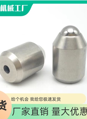 不锈钢重载型光身型球头柱塞无牙定位珠 弹弓顶销ZAL35 BSZP5 6 8