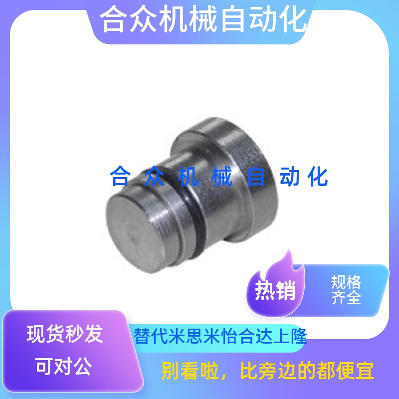 直线导轨用定位销LLT3.5 LLT5 LLTS5偏心销ICE11-T5不锈钢LLTA5