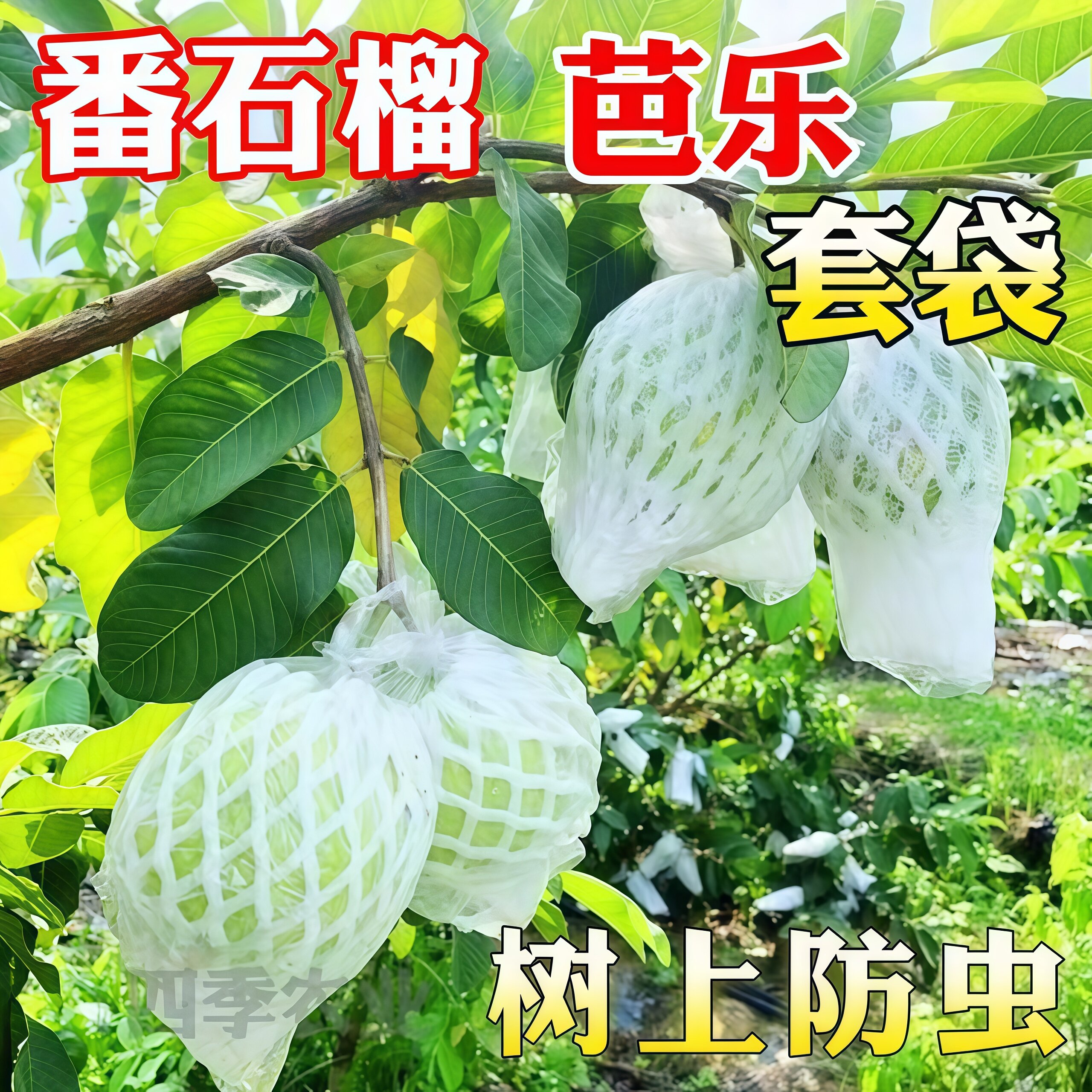 番石榴套袋网袋芭乐专用套袋水果防虫保护袋果袋套袋石榴袋子网套