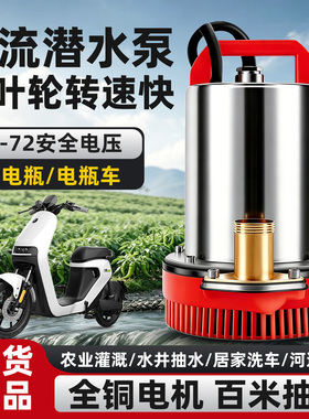 电动车电瓶车直流潜水泵4860v72V小型抽水泵农用家用浇菜灌溉神器