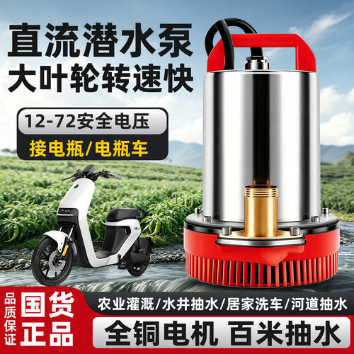 电动电瓶车小型抽水泵灌溉神器