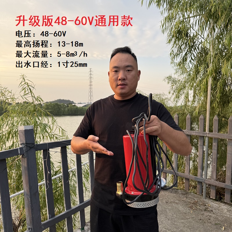 750W大功率电动车直流潜水泵