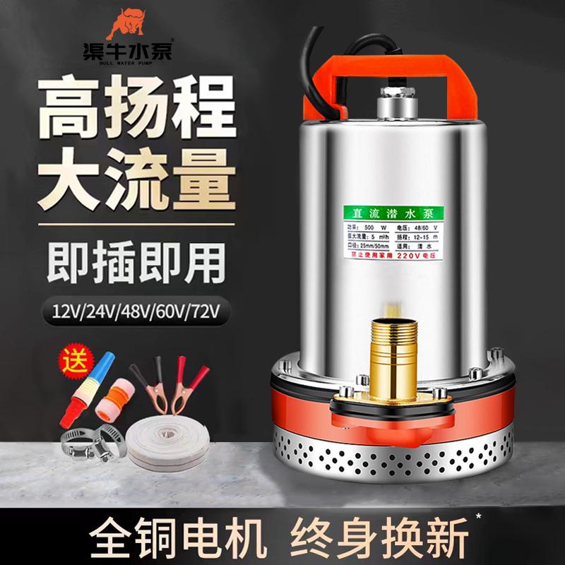 直流潜水泵48v60v家用农用浇菜72v电动电瓶车专用抽水泵全规格