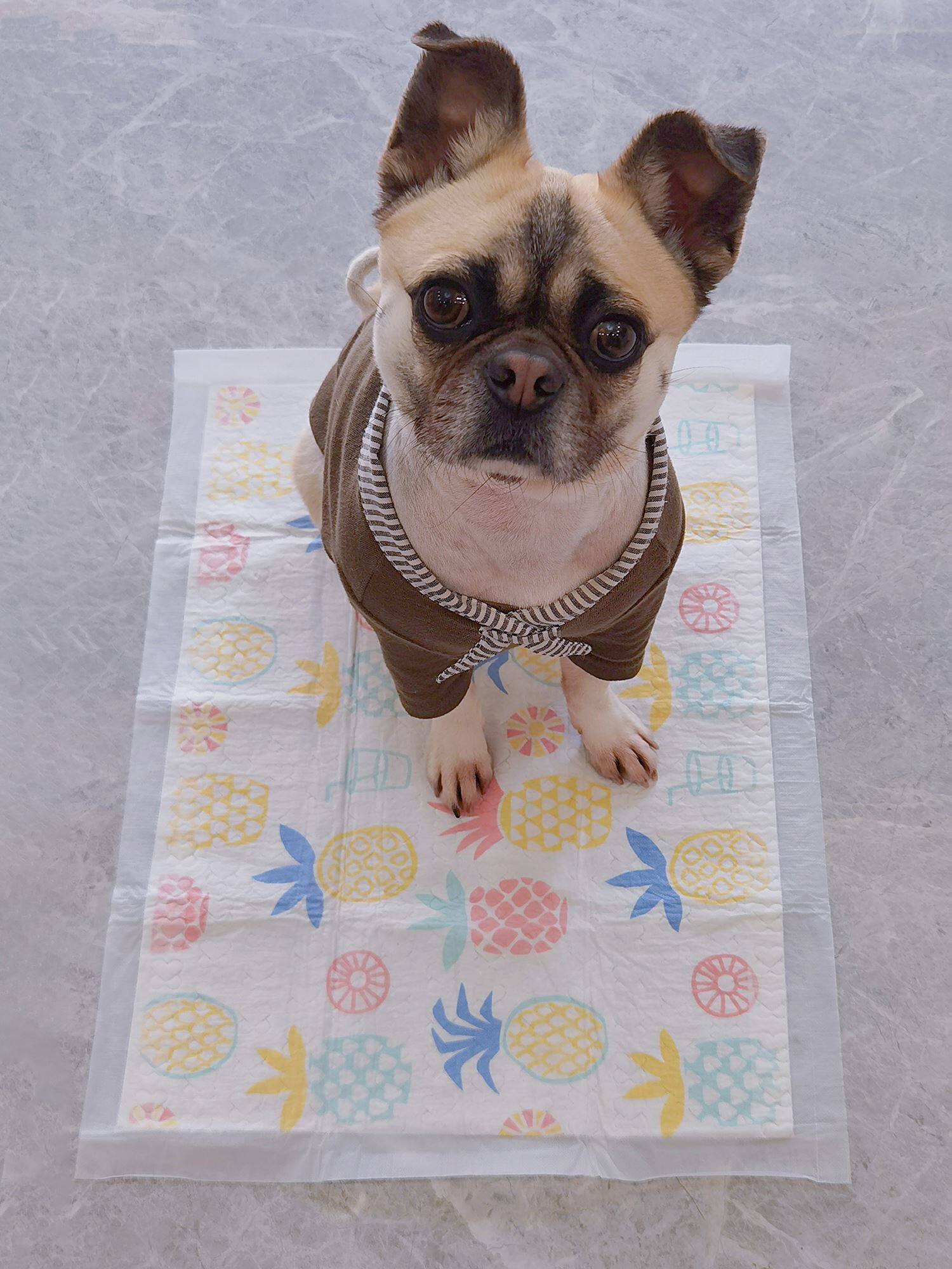 宠物尿垫狗狗印花尿片图案加厚超强吸水大中小型犬一次性尿布厕所