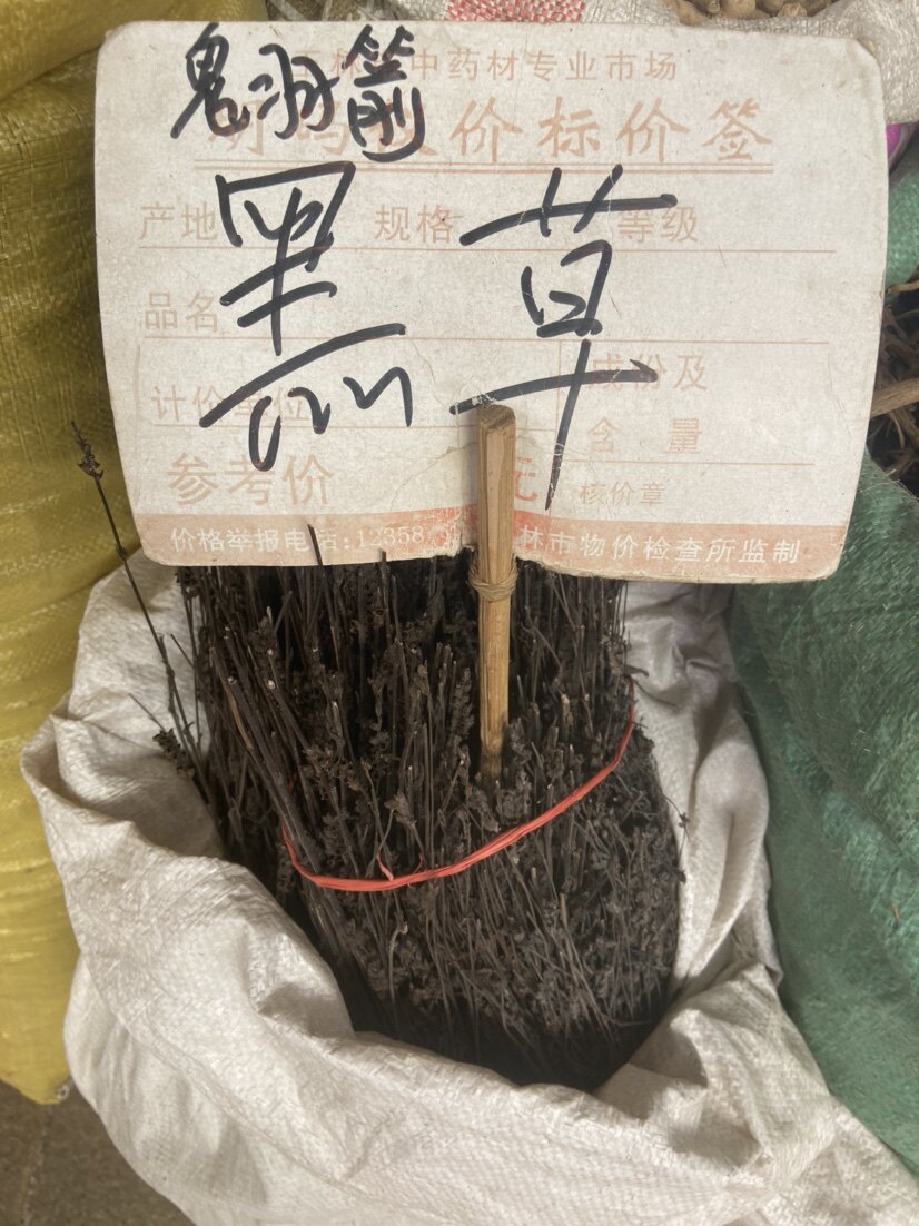 新货野生鬼羽箭中药材正品黑草羽箭草黑骨草克草黑马草250g包邮