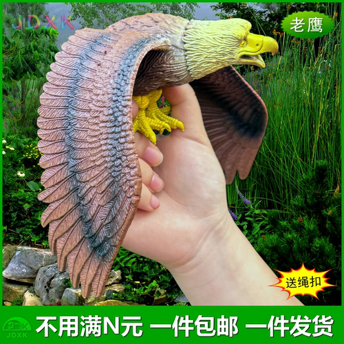仿真棕色塑胶老鹰玩具模型