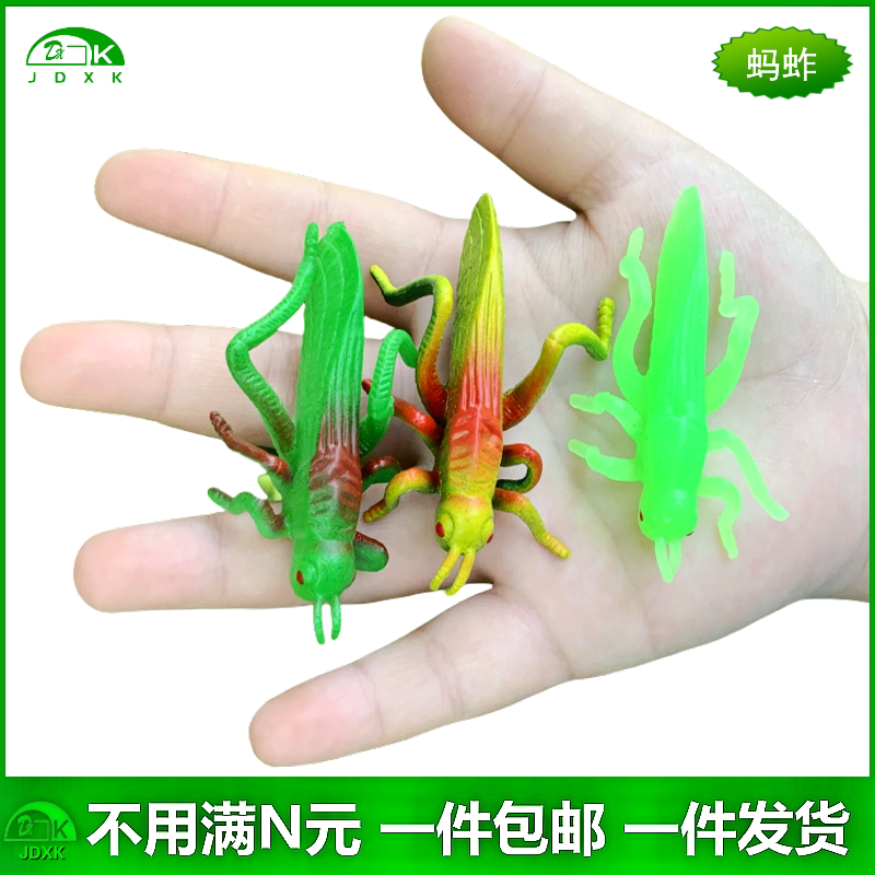 仿真小蚂蚱软胶包邮玩具