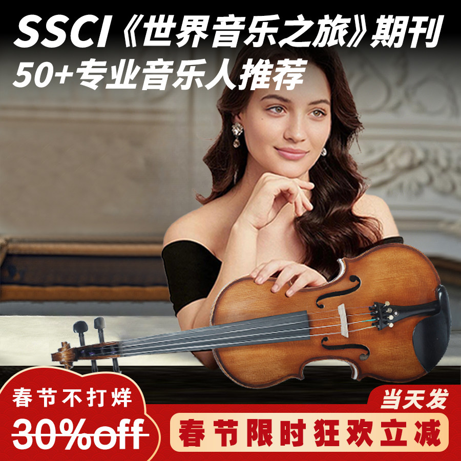 圣维斯SW100手工实木小提琴初学者儿童入门专业级考级演奏成人