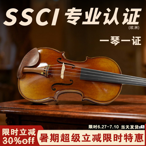 专业级小提琴SEENWINS