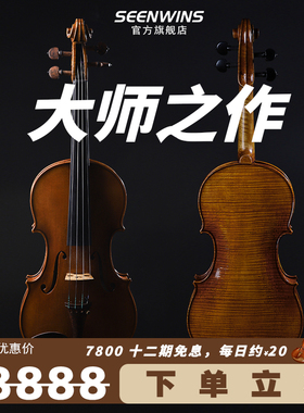 圣维斯sw030纯欧料小提琴专业级考级演奏级纯手进口意大利云杉