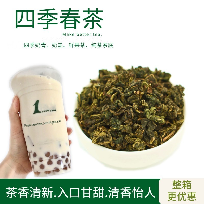 台湾四季春茶青茶奶茶店专用500g