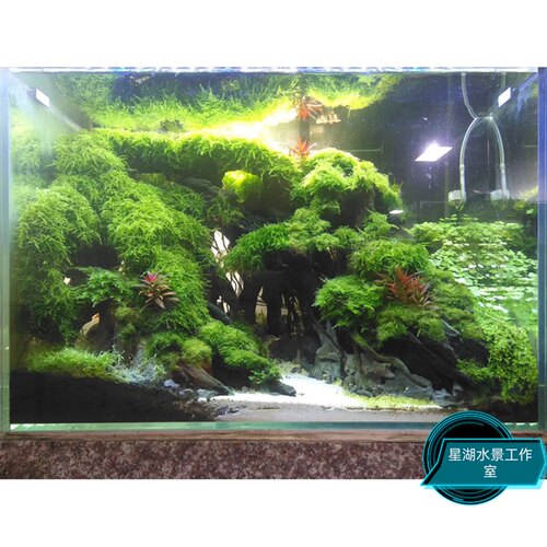 鱼缸造景一体拼接骨架森林造景30方缸造景35方缸造景60缸以下