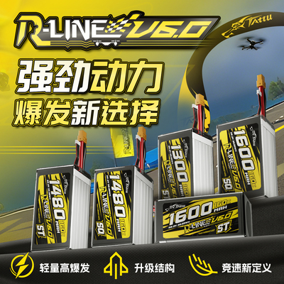 160C!全新金砖V61480/1600mAh6S