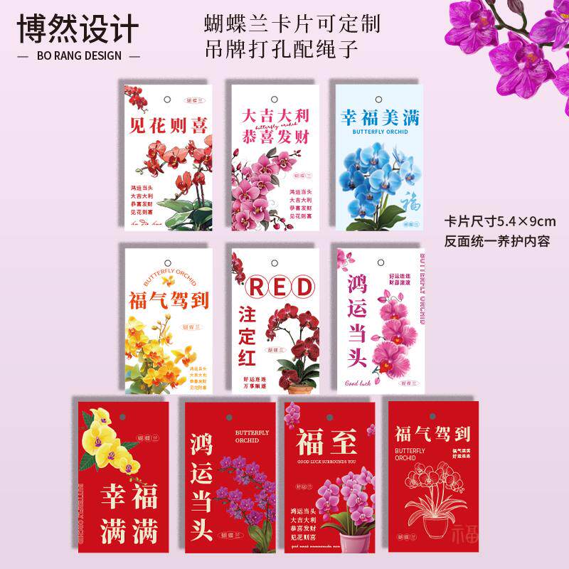 蝴蝶兰吊牌绿植盆栽养护小吊牌