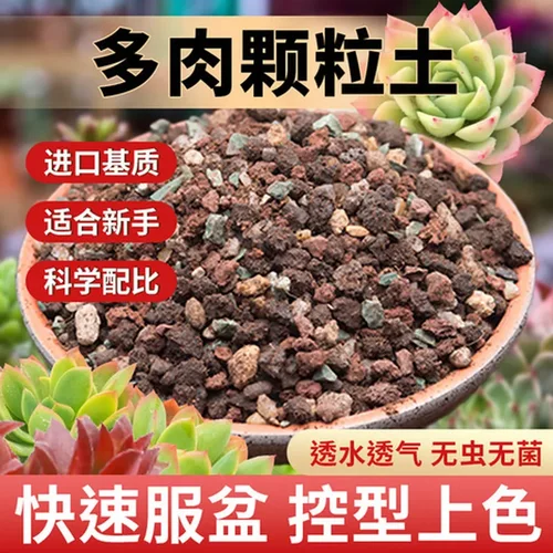 多肉颗粒幼苗多肉叶插铺面石泥炭基质土通用种植进口成株颗粒