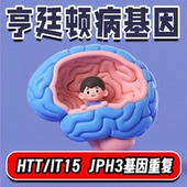 亨廷顿氏病 JPH3基因重复次数 IT15 舞蹈症基因检测 HTT
