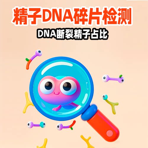 精子DNA碎片检测 DFI精子断裂率 HDS高可染性精子比例精子质量