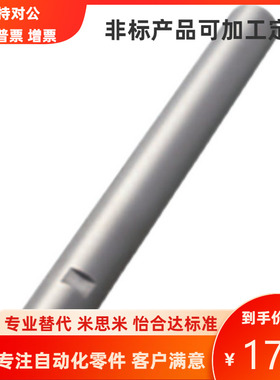 定制导向轴SFJZ SSFJZ PSFJZ PSSFJZ 两端内螺纹 带扳手槽 通孔型