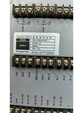 瑞尔斯REALS580温湿度控制器,型号REALS580(-议价产品