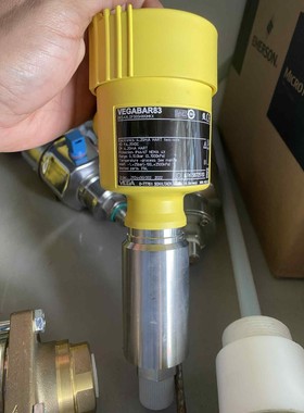 德国VEGA威格压力变送器VEGABAR83,型号B83.A议价产品