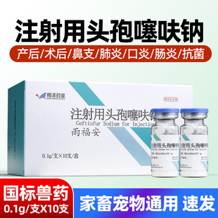 狗狗猫咪宠物注射用头孢消炎药感冒肠炎产后皮肤病炎症针剂治疗药