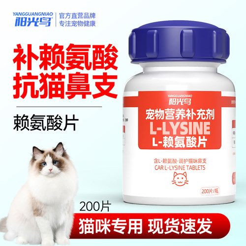 猫咪用赖氨酸片猫鼻支营养补充