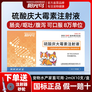 庆大霉素猫用口服腹泻肠胃调理拉稀止泻止吐消炎狗用注射液治疗药