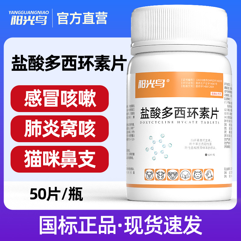 猫咪狗狗感冒咳嗽流鼻涕鼻支用药