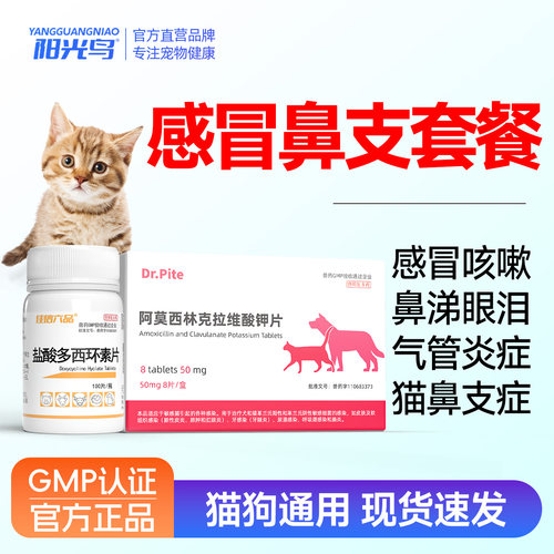 猫咪感冒猫鼻支咳嗽流鼻涕药