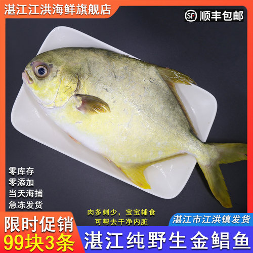 鲜金枪鱼条价格 鲜金枪鱼条图片 星期三