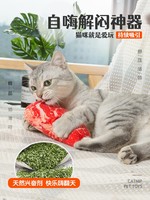 喵咪先生猫薄荷玩具耐咬逗猫棒幼猫自嗨解闷磨牙木天蓼猫鱼玩具球