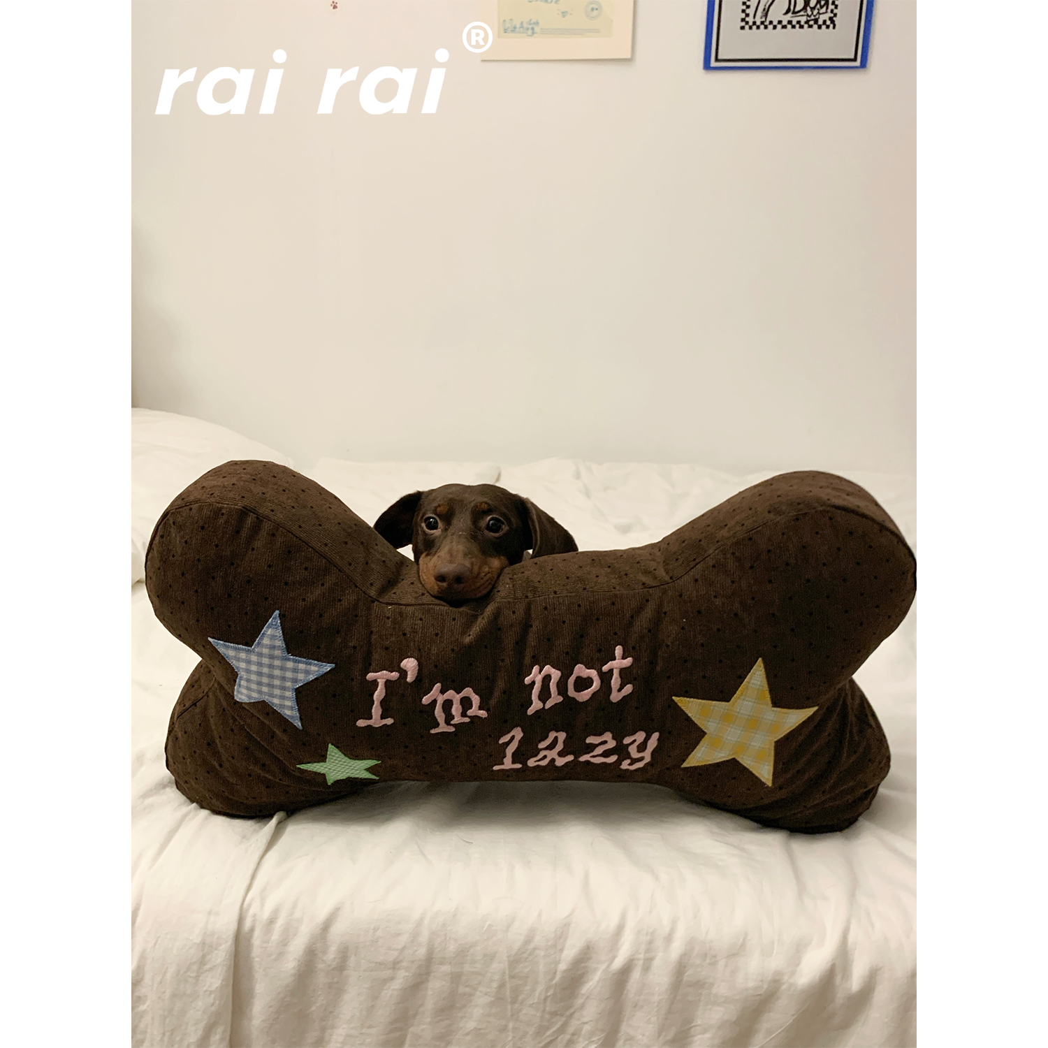 rairai原创“i am not lazy”可爱刺绣狗骨头靠枕ins风玩偶公仔
