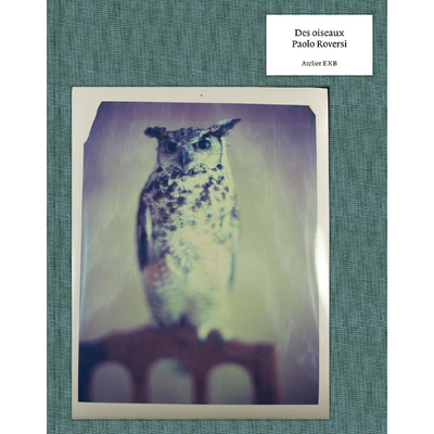 现货保罗·罗维西-鸟类摄影