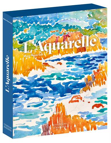 现货二十世纪水彩史L'aquarelle