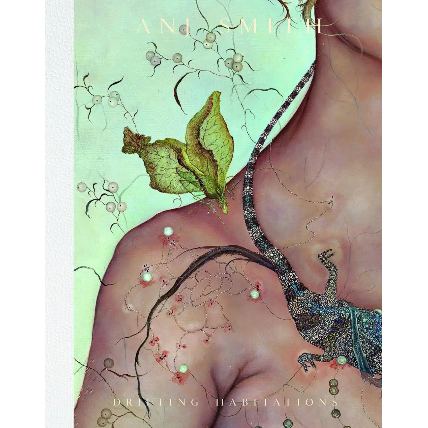 现货安杰·史密斯AnjSmith