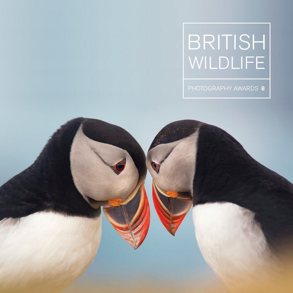 【现货】英国野生动物摄影奖 8 British Wildlife Photography Awards 8 / 老佛爷书店