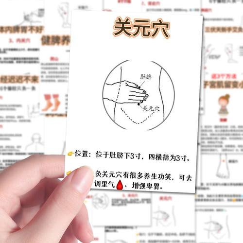 108张新款中医穴位养生仪式感贴纸简约健康知识科普详细装饰手账