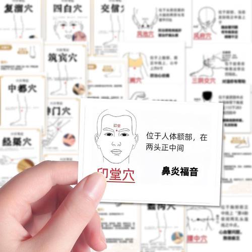 108张人体穴位贴纸中医针灸穴位科普知识图鉴DIY装饰防水自粘贴画