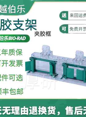 BIO-RAD制胶架wb制胶架Western伯乐电泳制胶架密封条1653303国产