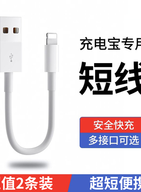 适用苹果数据线短款0.25m便携充电宝专用25厘米typec转lighting短线iphone手机充电线器PD20w快充线usb超短