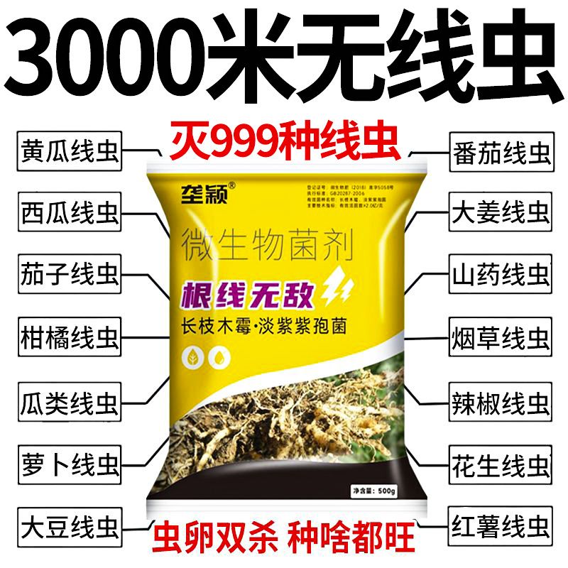 农用根结线虫专药淡紫孢菌