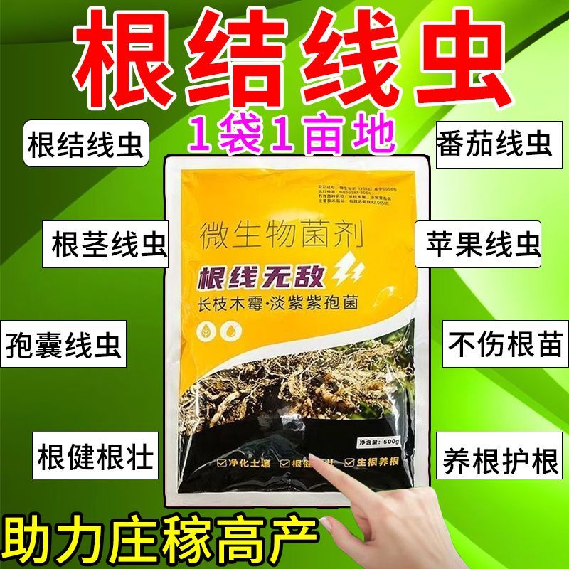 农用根结线虫专药淡紫孢菌