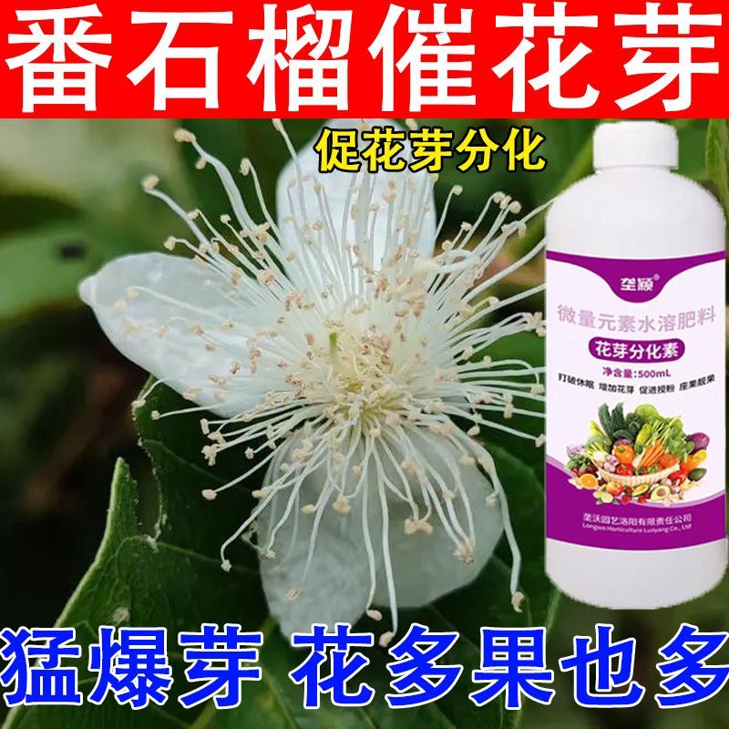番石榴树花芽分化素打破休