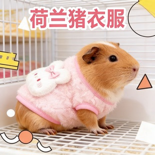 荷兰猪专用加厚保暖衣服冬季新款可爱装饰豚鼠泰迪防寒宠物用品