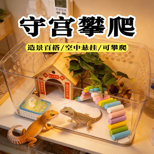 守宫攀爬玩具爬宠彩色拱桥围栏