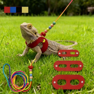 蜥蜴牵引绳 变色龙松鼠牵引绳小宠物用品爬宠外出皮革彩珠胸背带