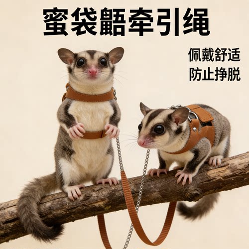 蜜袋鼯背心式防挣脱防咬牵引绳